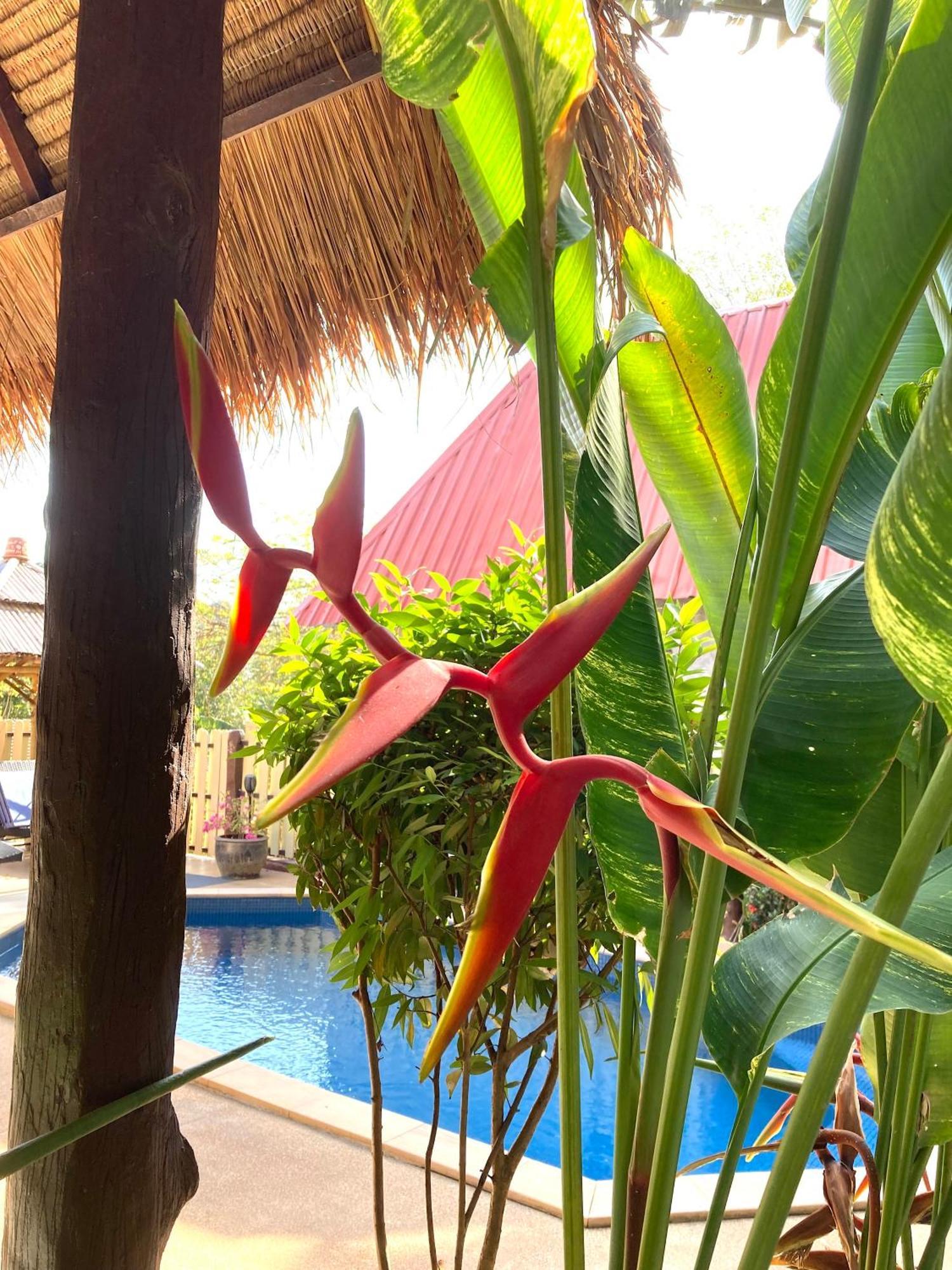 Villa Ayutthaya At Kantiang Bay Ko Lanta Zewnętrze zdjęcie